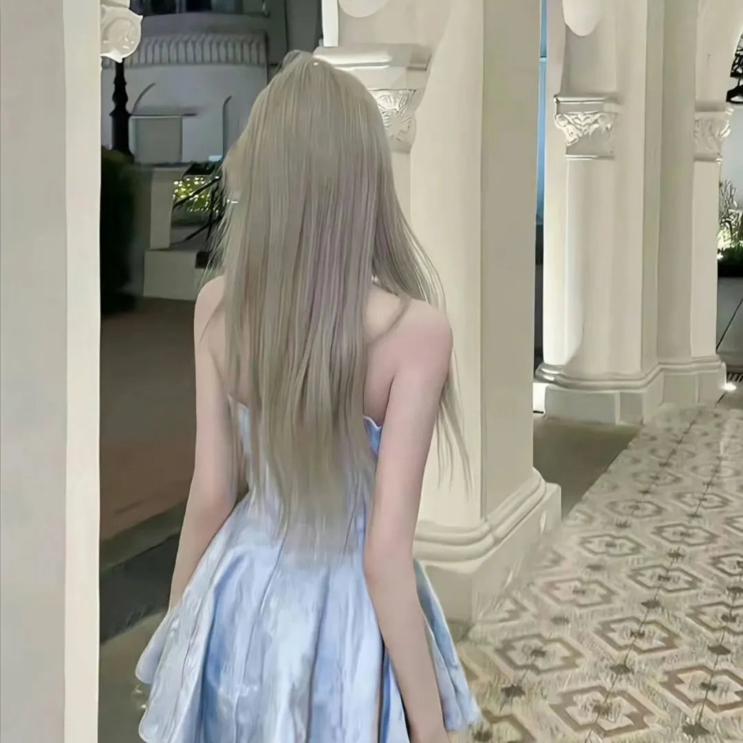 黑之契约者2:流星的双子