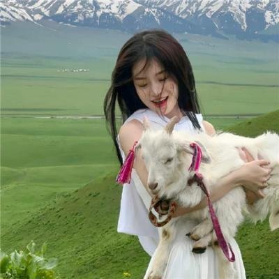 鸦色刑事组电影版