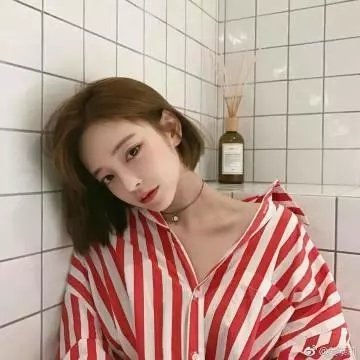 革命前夕的摩托车日记